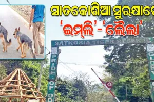 ସାତକୋଶିଆର ସୁରକ୍ଷା ସହ ଶିକାରୀମାନଙ୍କ ନିଦ ହଜାଇ ଦେଇଛନ୍ତି ‘ଇମ୍‌‌ଲି’-‘ଲୈଲା’