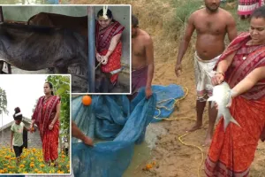 ସମନ୍ୱିତ କୃଷି ଦେଲା ପରିଚୟ, ଚାଷ କରି ସ୍ୱାବଲମ୍ୱୀ ହେଲେ ମିତା ମହାକୁର