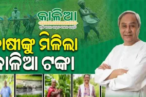 ଖରିଫ ଚାଷ ପାଇଁ ଚାଷୀଙ୍କ ଆକାଉଣ୍ଟକୁ ‘କାଳିଆ’ ଟଙ୍କା ହସ୍ତାନ୍ତର କଲେ ମୁଖ୍ୟମନ୍ତ୍ରୀ