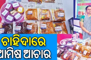 ଏସ୍‌‌ଏଚ୍‌‌ଜିଙ୍କୁ ସଶକ୍ତ କରିଛି ଆମିଷ ଆଚାର: ଚାହିଦାରେ ଚିଙ୍ଗୁଡ଼ି, ମଟନ୍‌‌ ଓ କଙ୍କଡ଼ା ଆଚାର