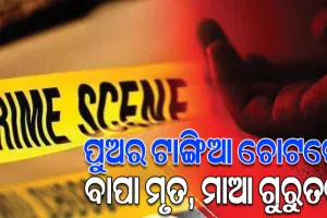 ନୃଶଂସ ପୁଅର ଟାଙ୍ଗିଆ ଚୋଟରେ ବାପା ମୃତ, ମାଆ ଗୁରୁତର