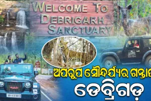 ପର୍ଯ୍ୟଟକଙ୍କୁ ଆକର୍ଷିତ କରୁଛି ପ୍ରକୃତିର ନୈସର୍ଗିକ ଶୋଭାରାଜିର ଭୂଖଣ୍ଡ ଡେବ୍ରିଗଡ଼ ଅଭୟାରଣ୍ୟ