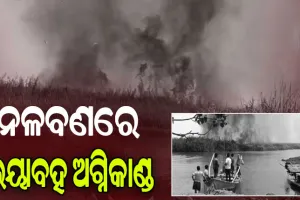 ଚିଲିକା ନଳବଣରେ ଭୟାବହ ଅଗ୍ନିକାଣ୍ଡ