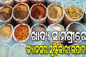 ୟୁରୋପୀୟ ସଂଘର ଚାଞ୍ଚଲ୍ୟକର ବୟାନ: ୪୦୦ଟି ଭାରତୀୟ ଖାଦ୍ୟ ସାମଗ୍ରୀରେ କୀଟନାଶକ ଓ କବକ