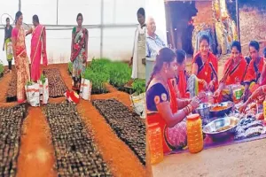 ଜୀବିକା ଦେଲା ମିଶନ ଶକ୍ତି, ଚାଷ କରି ନିଜକୁ ସ୍ୱାବଲମ୍ବୀ କରି ପାରିଛନ୍ତି ଗାଙ୍ଗେଶ୍ୱରୀ ସ୍ୱୟଂ ସହାୟିକା ଗୋଷ୍ଠୀର ମାଆମାନେ
