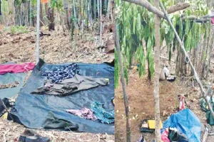 ସୁରକ୍ଷାବାହିନୀକୁ ବଡ଼ ସଫଳତା: ୧୩୧ ଦିନରେ ନିପାତ ହେଲେଣି ୧୦୩ ମାଓବାଦୀ