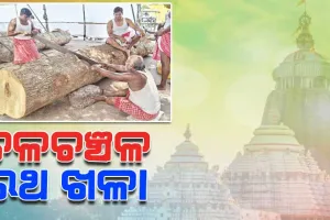 ଚଳଚଞ୍ଚଳ ପୁରୀ ରଥ ଖଳା; ଗଢ଼ାଚାଲିଛି ତିନିରଥ, ଆରମ୍ଭ ହୋଇଛି ତୁମ୍ବ କାମ