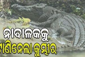 ୮ ବର୍ଷର ବାଳକକୁ ଟାଣିନେଲା କୁମ୍ଭୀର