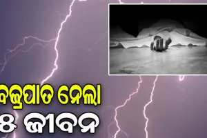 ବର୍ଷା ଯୋଗୁ ଗଛ ତଳେ ନେଇଥିଲେ ଆଶ୍ରୟ, ବଜ୍ରପାତରେ ଚାଲିଗଲା ୫ ଜୀବନ