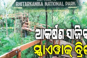 ଅଗଷ୍ଟ ୧ରୁ ପର୍ଯ୍ୟଟକଙ୍କ ପାଇଁ ଖୋଲିବ ଭିତରକନିକା, ଆକର୍ଷଣ ସାଜିବ ସ୍କାଏୱାକ୍‌‌ ବ୍ରିଜ