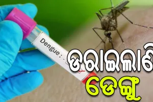 ରାଜ୍ୟରେ ଚିନ୍ତା ବଢ଼ାଇଲାଣି ଡେଙ୍ଗୁ, ଚିହ୍ନଟ ହେଲେଣି ୩୮୯ ଆକ୍ରାନ୍ତ