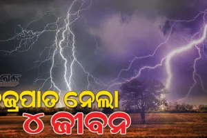 ରାଜ୍ୟର ଭିନ୍ନ ଭିନ୍ନ ସ୍ଥାନରେ ବଜ୍ରପାତରେ ୪ ମୃତ, ୪ ଆହତ