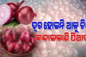 କନ୍ଦାଇଲାଣି ପିଆଜ; ସରକାରୀ ନିୟନ୍ତ୍ରଣ ନ ଥିବାରୁ ମନଇଚ୍ଛା ଦର ହାଙ୍କୁଛନ୍ତି ବ୍ୟବସାୟୀ