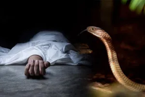 ସାପ କାମୁଡ଼ାରେ ଚାଲିଗଲା ୩ ଭଉଣୀଙ୍କ ଜୀବନ