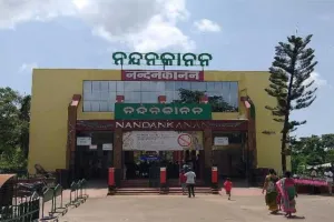 ନନ୍ଦନକାନନ ଆସିବେ ରେଡ୍ କଙ୍ଗାରୁ ଓ ଆଫ୍ରିକୀୟ ଚିତା: ସ୍ୱାଗତ ପାଇଁ ସ୍ୱତନ୍ତ୍ର ପ୍ରସ୍ତୁତି