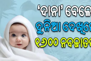 ବାତ୍ୟା ‘ଦାନା’ର ଭୟ ଓ ଆଶଙ୍କା ମଧ୍ୟରେ ଦୁନିଆ ଦେଖିଲେ ୧୬୦୦ ନବଜାତକ
