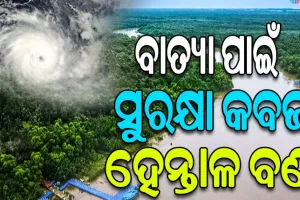 ଭିତରକନିକା ହେନ୍ତାଳ ବଣରେ ବାତ୍ୟା ଲ୍ୟାଣ୍ଡଫଲ୍‌ କଲେ, ପୋଖରୀ ଓ ନାଳକୁ ବ୍ୟବହାର କରନ୍ତୁ ନାହିଁ: ପିସିସିଏଫ୍‌