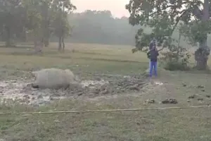 ହାତୀ ମୃତଦେହ ଠାବ, କାଦୁଅରେ ପୋତି ହୋଇ ଚାଲିଗଲା ଜୀବନ