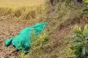 ଧାନ ଜମିରୁ ମାଈହାତୀର କ୍ଷତବିକ୍ଷତ ମୃତଦେହ ଠାବ