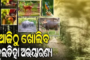 ଆଜିଠାରୁ ପର୍ଯ୍ୟଟକଙ୍କ ପାଇଁ ଖୋଲିବ କୁଲଡିହା ଅଭୟାରଣ୍ୟ
