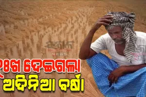 ଚାଷୀଙ୍କ ଅଣ୍ଟା ଭାଙ୍ଗିଦେଲା ଅଦିନିଆ ବର୍ଷା; ହଜାର ହଜାର ଏକର ଜମି ଜଳମଗ୍ନ, ବିଲରେ ବତୁରୁଛି ବର୍ଷକର ପରିଶ୍ରମ