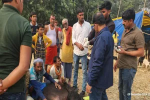 ଅବୈଧ ବଳିରୁ ଉଦ୍ଧାର ହୋଇଥିବା ୪ଶହ ପଶୁଙ୍କ ଆଜୀବନ ଯତ୍ନ ନେବ ‘ବନ୍ତାରା’