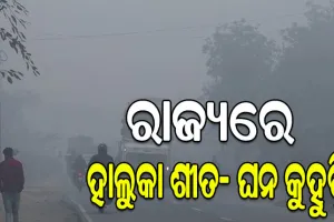 ଶୀତ ଅପଡେଟ୍: ରାଜ୍ୟରେ ଆସନ୍ତା ୪ ଦିନ ଯାଏଁ ହାଲୁକା ଶୀତ, କୁହୁଡ଼ି ନେଇ ୨ ଦିନ ପାଇଁ ୭ ଜିଲ୍ଲାକୁ ୟେଲୋ ଆଲର୍ଟ