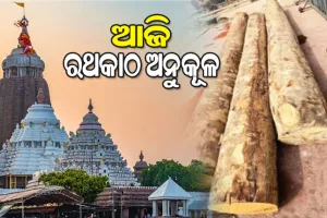 ଆଜି ମହାପ୍ରଭୁଙ୍କ ରଥଯାତ୍ରା ପାଇଁ ଅନୁକୂଳ ହେବ ରଥକାଠ, ୩ଟି ଧଉରା କାଠ ରଖାଯାଇ ହେବ ପୂଜାର୍ଚ୍ଚନା