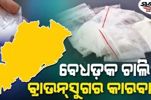 ବ୍ରାଉନ୍‌‌ସୁଗର ବେପାର ଜମୁଛି, କିନ୍ତୁ ଜବତ ପରିମାଣ କମୁଛି