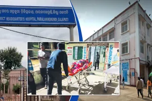 ଛତୁଆ ନେଲା ଦୁଇ ଶିଶୁ କନ୍ୟାଙ୍କ ଜୀବନ