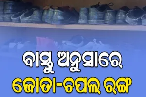 ବାସ୍ତୁ ଅନୁସାରେ କେଉଁ ରଙ୍ଗ ର ଜୋତା-ଚପଲ ଶୁଭ