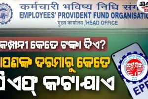 ଆପଣଙ୍କ ଦରମାରୁ କେତେ PF କଟାଯାଏ ଏବଂ କମ୍ପାନୀ କେତେ ଦିଏ?