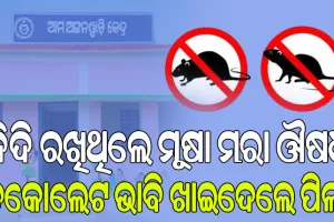 ଚକୋଲେଟ ଭାବି ମୂଷା ମରା ଔଷଧ ଖାଇଦେଲେ ୬ ଅଙ୍ଗନବାଡ଼ି ଶିଶୁ