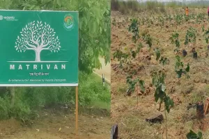 ବେଦାନ୍ତ ଆଲୁମିନିୟମର ମାତୃଭନ ଉଦ୍ୟମ, ଓଡ଼ିଶାରେ ପୃଥିବୀ ଦିବସ ଅବସରରେ ଏକ ସବୁଜ ଆସନ୍ତାକାଲି ପାଇଁ ଉତ୍କର୍ଷିତ ହେଉଛି