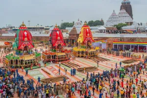 ରଥଯାତ୍ରା ନୀତିକାନ୍ତି ପାଇଁ ପୁରୀ ଶ୍ରୀମନ୍ଦିରରେ ପହଞ୍ଚିଲା ୩୮୦ କେଜି ‘ବାସୁଙ୍ଗା ପାଟ’ 
