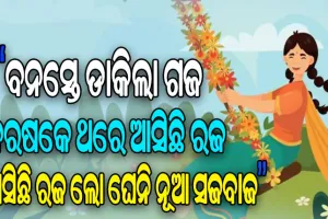 ମାଟି ମାଆର ପର୍ବ ରଜ, ମୁଖ୍ୟ ଆକର୍ଷଣ ହେଉଛି ରଜପାନ ଓ ପୋଡ଼ପିଠା….