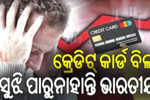 କ୍ରେଡିଟ୍‌ କାର୍ଡ ବିଲ୍‌ ସୁଝି ପାରୁନାହାନ୍ତି ଭାରତୀୟ, ବାକି ଅଛି ୩୩,୮୮୬ କୋଟିର ବିଲ୍‌…