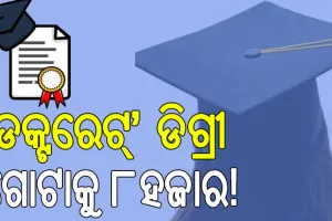 ମାସକରେ ରାଜଧାନୀର ୩୦୦ ଲୋକଙ୍କୁ ‘ଡକ୍ଟରେଟ୍‌’; ଡିଗ୍ରୀ ଗୋଟାକୁ ୮ହଜାର!