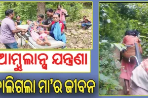 ଆସିପାରିଲାନି ଆମ୍ବୁଲାନ୍ସ: ଅଧାବାଟରେ ପ୍ରସବ କଲେ ମହିଳା ତ’ ଆଉ କେଉଁଠାରେ ସାପ କାମୁଡ଼ାରେ ଚାଲିଗଲା ମା’ର ଜୀବନ…