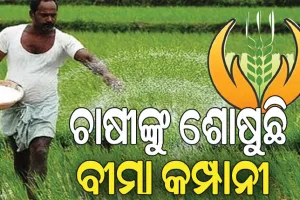 ଚାଷୀଙ୍କୁ ଶୋଷୁଛି ବୀମା କମ୍ପାନୀ: ନେଉଛି ଅଧିକ,  ଦେଉଛି କମ୍‌