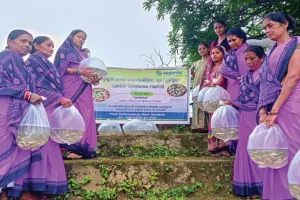 ବେଦାନ୍ତ ଲାଞ୍ଜିଗଡ଼ 'ପ୍ରକଳ୍ପ ସଙ୍ଗମ' ଅନ୍ତର୍ଗତ ମାଛ ଚାଷ ପଦକ୍ଷେପ ସହିତ ଚାଷୀଙ୍କ ପାଇଁ ନୂତନ ଆୟ ସ୍ରୋତ ସୃଷ୍ଟି କରିଛି