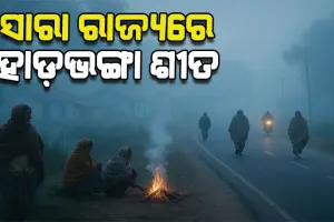 ହାଡ଼ଭଙ୍ଗା ଶୀତରେ ଥରୁଛି ସାରା ଓଡ଼ିଶା, ଆହୁରି ୩ ଦିନ କଲବଲ କରିବ ଜାଡ଼
