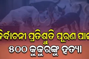 ତେଲେଙ୍ଗାନାରେ ଅମାନବୀୟ କାଣ୍ଡ: ନିର୍ବାଚନୀ ପ୍ରତିଶ୍ରୁତି ପୂରଣ ପାଇଁ ୫୦୦ ବୁଲା କୁକୁରଙ୍କୁ ହତ୍ୟା