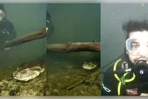 Viral Video: ପାଣି ଭିତରେ ୨୦୦ କିଲୋର ବିଶାଳ ଆନାକୋଣ୍ଡା ସହ ମୁହାଁମୁହିଁ ହେଲେ ଡାଇଭର; ଦେଖନ୍ତୁ ଏହି ଭାଇରାଲ ଭିଡିଓ