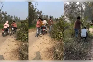 Viral Video: ରାସ୍ତାରୁ ଗଛ ହଟାଇ ମାନବିକତାର ପରିଚୟ ଦେଲେ ଯୁବକ, ଭିଡିଓ ଦେଖି ସାଲ୍ୟୁଟ କରୁଛନ୍ତି ଲୋକେ