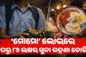 ମୋମୋ ଖାଇବା ନିଶା: ଘରୁ ୮୬ ଲକ୍ଷ ଟଙ୍କାର ଗହଣା ଚୋରି କରି ଦୋକାନୀକୁ ଦେଲା ନାବାଳକ