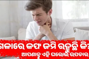 ଗଳାରେ କଫ ଜମି ରହୁଛି କି? ପୋଷ୍ଟ ନାଜାଲ୍ ଡ୍ରିପ୍‌ରୁ ମୁକ୍ତି ପାଇବା ପାଇଁ ଆପଣାନ୍ତୁ ଏହି ଘରୋଇ ଉପଚାର