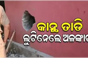 କାନ୍ଥ ତାଡି ଜୁଏଲାରି ଦୋକାନରୁ ୨୦ଲକ୍ଷରୁ ଉର୍ଦ୍ଧ୍ୱ ଟଙ୍କାର ଅଳଙ୍କାର ଲୁଟିନେଲେ ଦୁର୍ବୃତ୍ତ