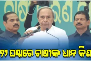 ବିଶାଳ ଚାଷୀ ସମାବେଶରେ ଗର୍ଜିଲେ ବିରୋଧୀ ଦଳ ନେତା ନବୀନ; ସରକାରଙ୍କ ନିଦ ହଜାଇଦେବାକୁ ଦେଲେ ଚେତାବନୀ