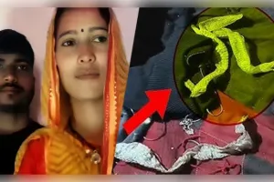 ଔରୟାରେ 'ନାଗିନ୍' ଡ୍ରାମା: ପ୍ରେମିକ ସହ ଫେରାର୍ ହେବାକୁ ଯୁବତୀ ରଚିଲେ ଷଡଯନ୍ତ୍ର, ବିଛଣାରୁ ମିଳିଲା ସାପ କାତି